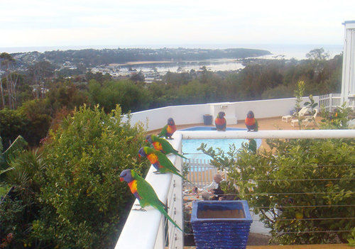 Kingfisher Motel (Adults Only) Merimbula Exterior photo
